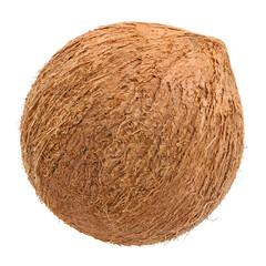 Obraz premium Whole brown coconut with fibrous husk texture, isolated on transparent cutout background