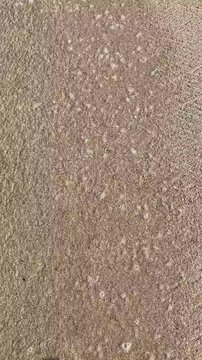 POV Walking on Sandy Beach, Long Shadows, Mindful Slow Living Moment