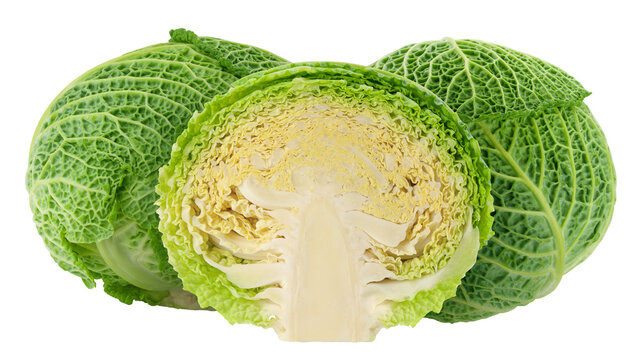 savoy Cabbage isolated, full depth of field