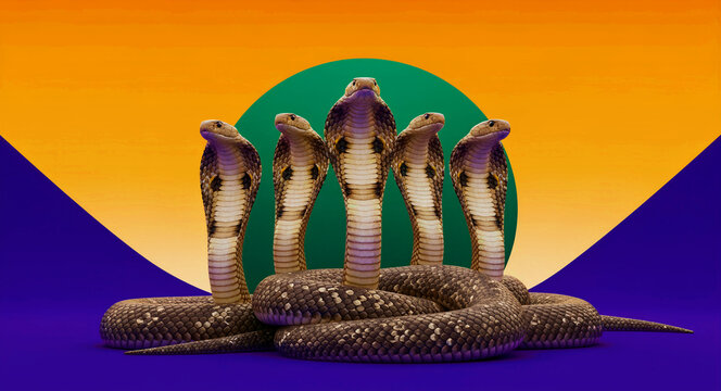 Five cobras rising from a coiled body against a stylized background. Majestic snakes displayed in a symmetrical arrangement with vibrant colors. Power and protection concept for bold visual marketing.