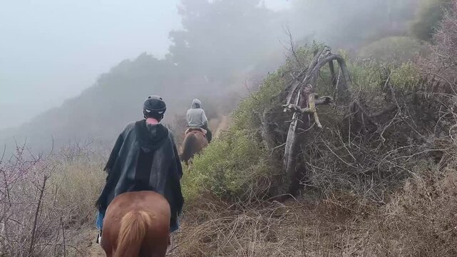 Horseback Riding in Zapallar seaside in Chile