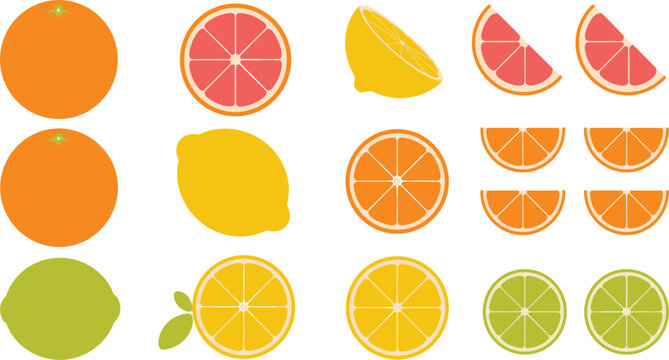 Citrus fruit vector mega set featuring whole fruits half slices cross sections and juicy wedges of orange grapefruit lemon and lime for summer food design