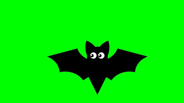 Animated cartoon black bat flying on green screen background for chroma keying and Halloween design