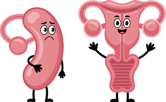 Cute cartoon female reproductive system anatomy set showing healthy uterus character and sad unfertilized egg for women health gynecology and medical education design