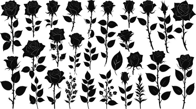  Vintage Black Rose Silhouette Vector Illustration Collection with Detailed Stems, Thorns, and Leaves for Elegant Floral Pattern Tattoo and Graphic Designs
