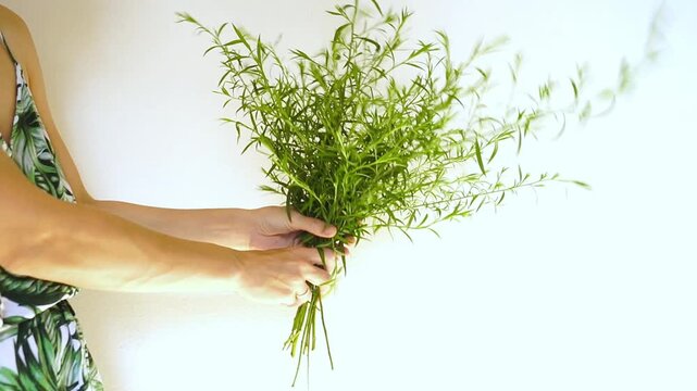 Woman touching individual green stems with elongated leaves while holding minimalist foliage bouquet indoors. Represents foliage evaluation, botanical material handling, and plant quality assessment.