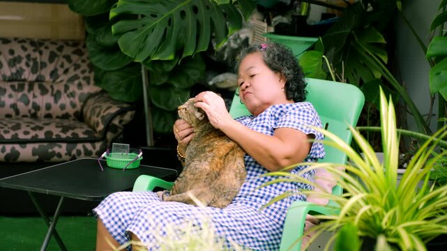 Happy Asian senior woman sitting on a chair and petting her cute cat in the garden at home, enjoying peaceful retirement lifestyle.