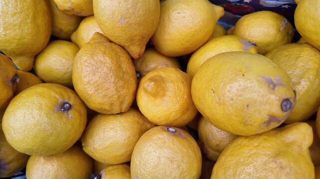 Lemons on display at the market