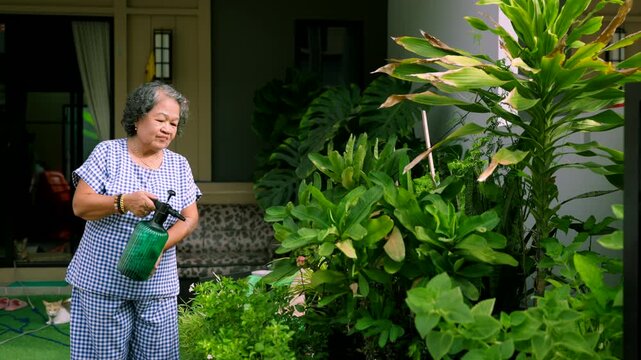 Senior Asian woman watering green plants with a spray bottle in the home garden, retirement lifestyle concept.