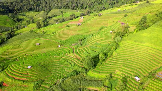 Majestic rice terraces stretch across the hills of Chiang Mai, Thailand, showcasing vibrant green hues. Local farmers tend to their crops under the warm sun, creating a picturesque rural landscape.