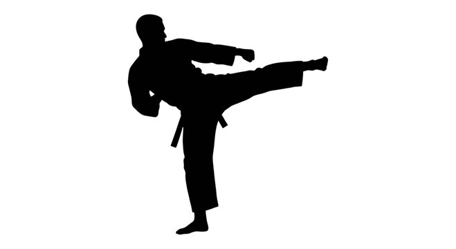 Silhouette of martial artist performing a high side kick.