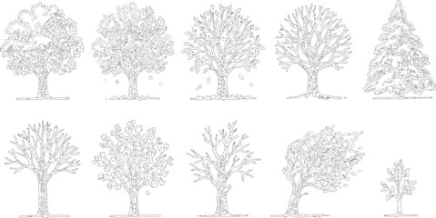Ten Line Drawings of Deciduous and Coniferous Trees for Botanical and Artistic Reference © designhouse