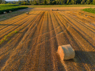 Aerial View of Hay Bales in a Harvested Wheat Field © Goran