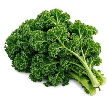 Fresh Organic Kale Leaves Isolated on White Background