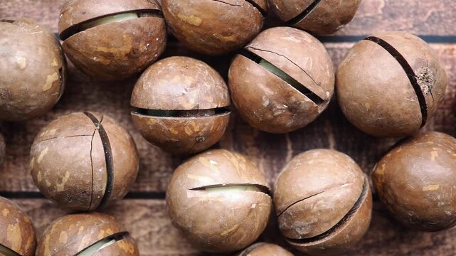 Macadamia Nuts In Shell With Natural Cracks On Wooden Surface Organic Snack