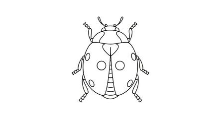 Simple line art ladybug with spots © ranesa