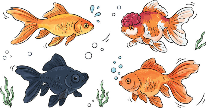 Watercolor goldfish vector illustration set featuring popular aquarium varieties including common comet oranda ranchu and black moor telescope fish