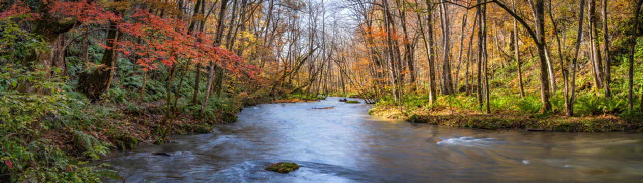 Oirase Keiryu (Oirase Gorge) in autumn, Aomori Prefecture, Japan