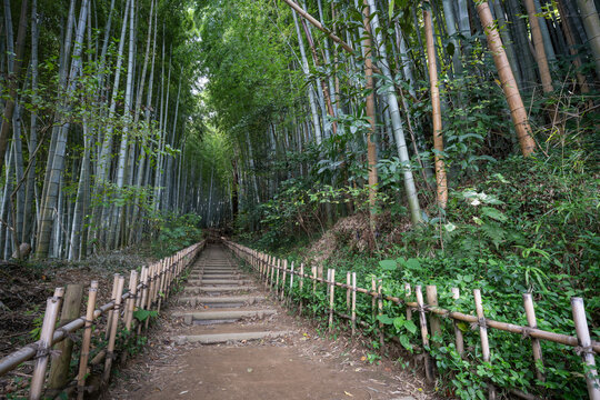 Old Samurai Road, Hiyodorizaka Slope, Sakura City, Chiba Prefecture