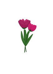 Fototapeta premium Beautiful Flower Stem Vector Set with Purple Daisy and Pink Tulip Bouquet Illustration