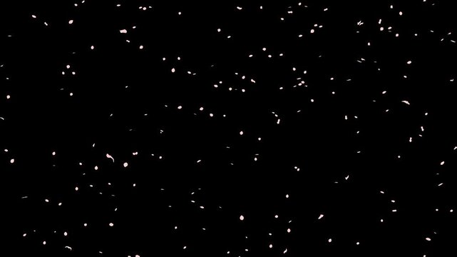 ピンクの花びらが降り注ぐロマンチックなループ背景