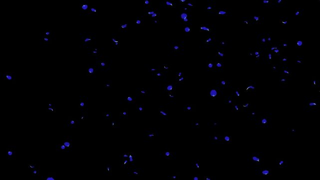 青いバラの花びらが降り注ぐ幻想的なループ映像素材