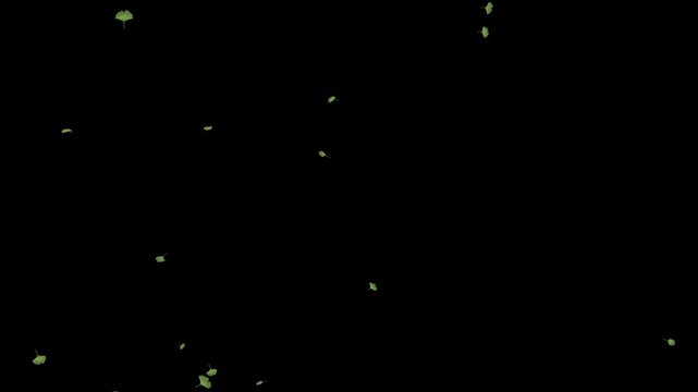 静かに舞う少量の緑イチョウのミニマルループ背景アニメーション
