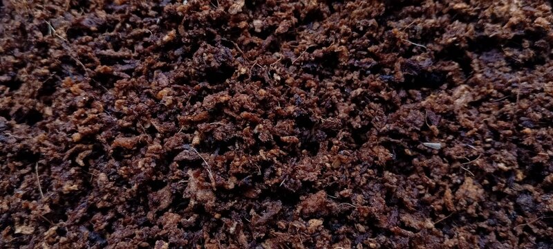 Coco peat