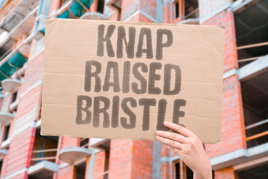 "Knap Raised Bristle" Fabric surface roughened by brush. KNAP. RAISED. BRISTLE. FABRIC. ROUGHENED.