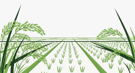 Emerging Wheat Fields in Early Growth Stage. © Noval