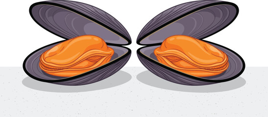 Open mussels illustration with orange interior and dark shells © MDZiaul