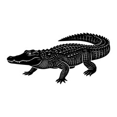 Fototapeta premium Black and white alligator swimming in water