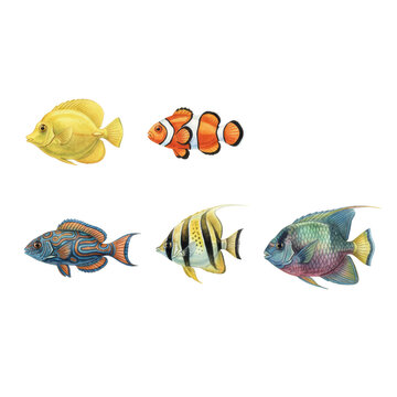 Six tropical fish species including tang, clownfish, mandarinfish, butterflyfish, parrotfish and angelfish in watercolor illustration on white, marine study concept