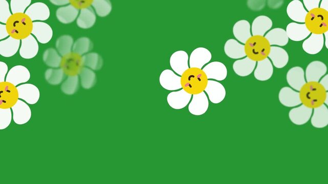 Charming Smiley Cute Chamomile Daisy Flower Pop Up Animation Transition Overlay on Chroma Key Green Screen, Y2K Floral Background Footage, Smiley Face Blossom Wipe Effect Loops