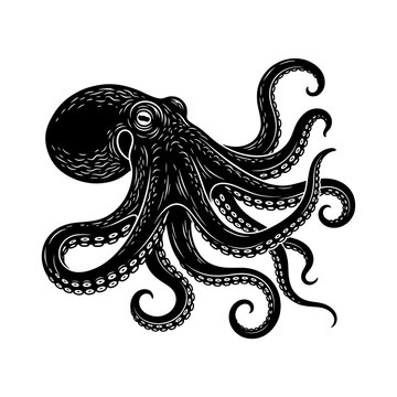 Black and white octopus illustration with tentacles spread out