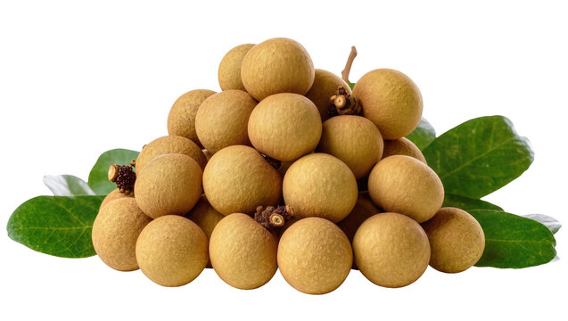 Isolated fresh longan tropical fruits with green leaves for healthy snack ingredient