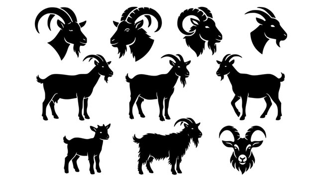 Goat silhouettes vector set featuring detailed heads with curved horns standing billy goats a small kid and farm livestock design elements