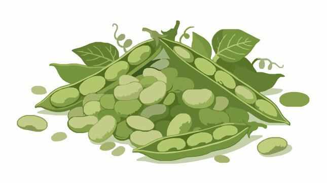 Fresh green soy edamame beans vector illustration featuring open pods heap of broad seeds vine leaves and curly tendrils
