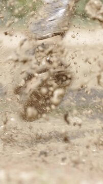 Horse splash water puddle close up slow motion
