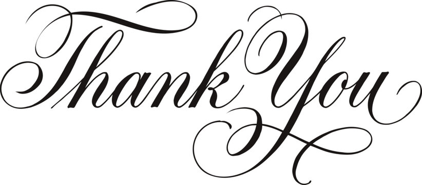 Elegant vector thank you typography design for greeting cards and expressions
