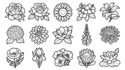 Collection of black and white line of various flowers and plants line black and white botanical floral © Graphic Shops