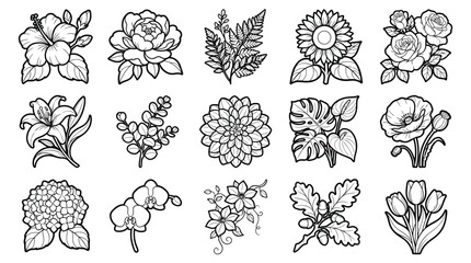 Collection of black and white line of various flowers and plants hibiscus peony fern sunflower roses © Graphic Shops
