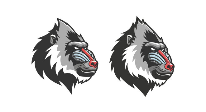Detailed Mandrill Heads with Colorful Faces Illustration.
