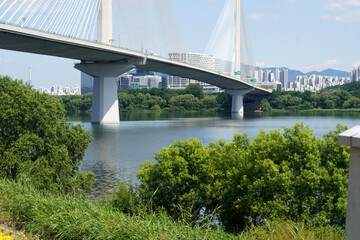 Fototapeta premium Under the blue sky, the lower part of the modern cable-stayed bridge, the river, and the green forest