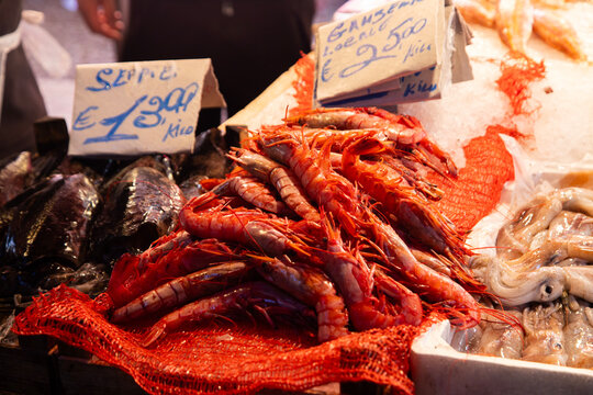 Fresh seafood and red prawns display at Ballar&ograve; Market in Palermo, Sicily