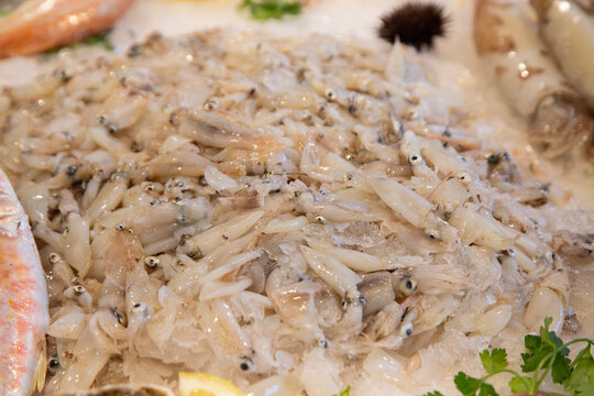 A variety of fresh fish at stalls in the Ballar&ograve; market in Palermo, Sicily, Italy..