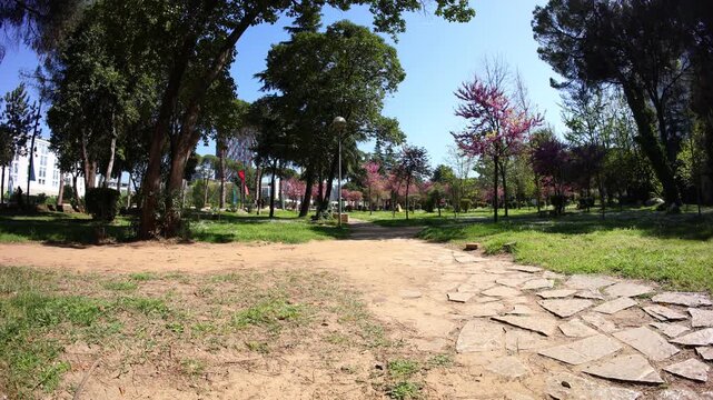 Spring in Tirana