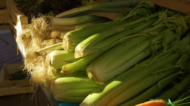 Fresh harvested celery at produce market