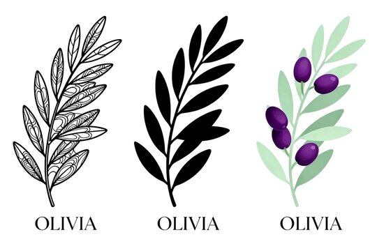 Three Olive Branch Designs with 'Olivia' Text