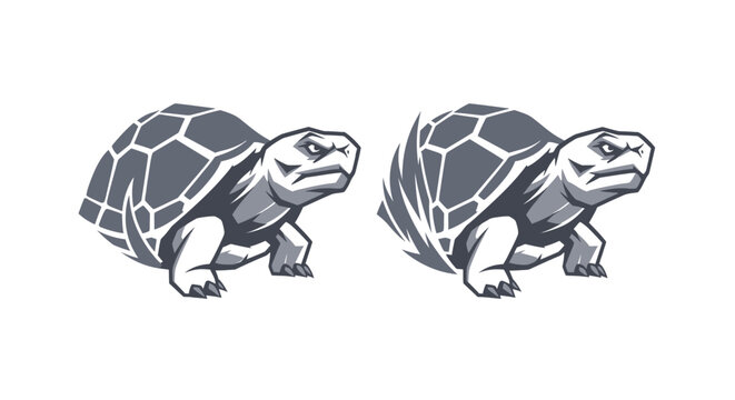 Two detailed turtle illustrations in black and white.